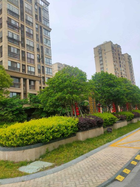 龙泽园西区,闻川路798号-嘉兴龙泽园西区二手房,租房,房价-嘉兴安居客