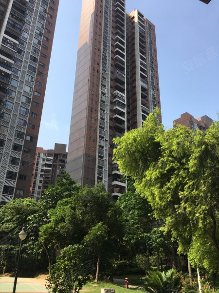 联诚智博丽海花园,季华三路-佛山联诚智博丽海花园二手房,租房,房价