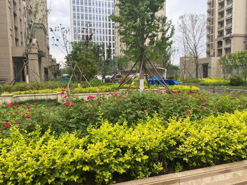 高创水岸蓝湾,潍县中路,近桃园路-潍坊高创水岸蓝湾二手房,租房,房价