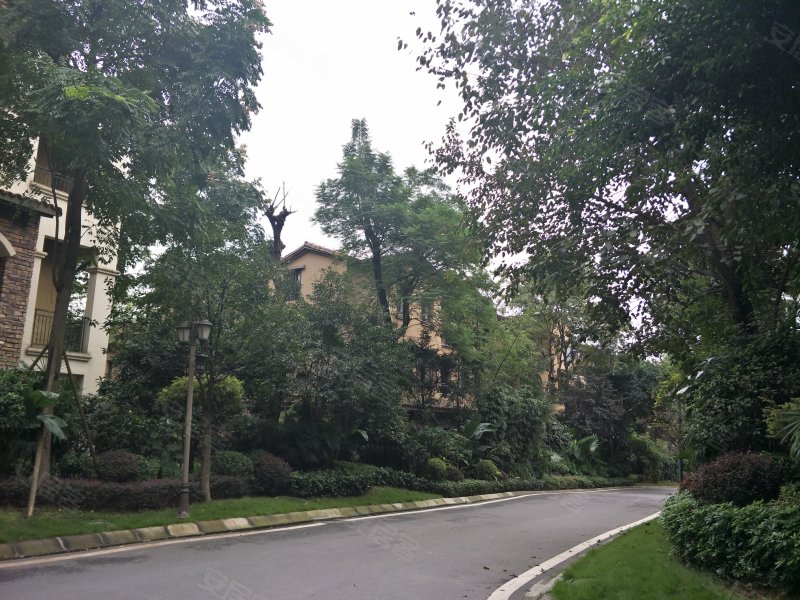 凤凰湾纯水岸,宏帆路32号-重庆凤凰湾纯水岸二手房,租房,房价-重庆