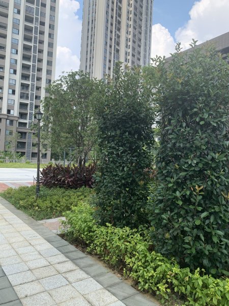 筑家蓝波湾(闽清)