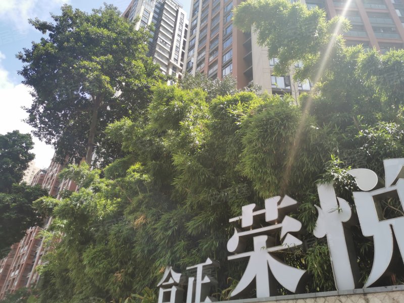 合正荣悦府,文锦中路2014号-深圳合正荣悦府二手房,租房,房价-深圳