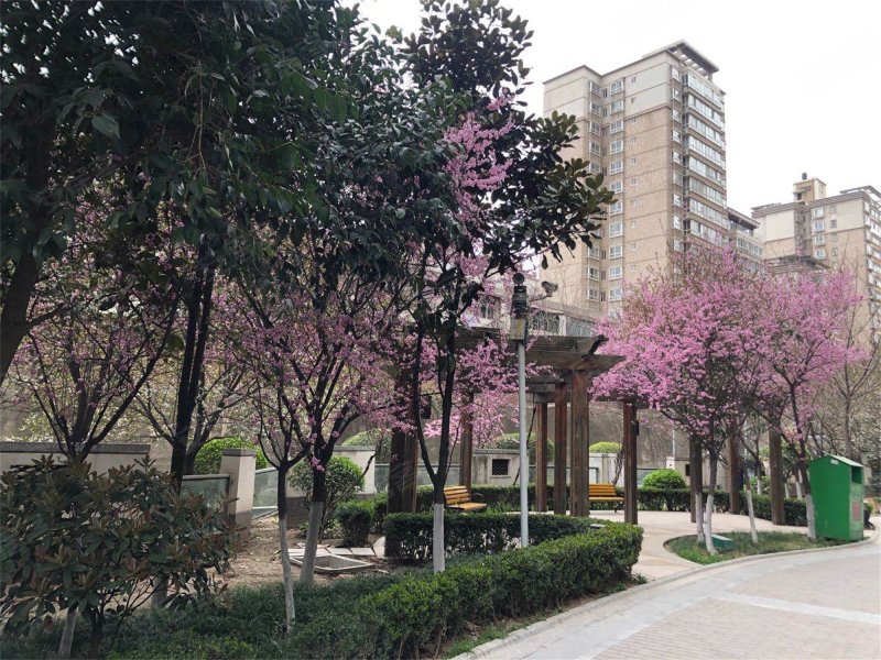 鑫龙天然居(北区),公园南路,近无名路-西安鑫龙天然居(北区)二手房