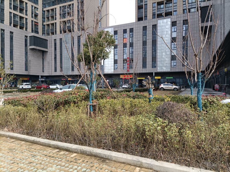 京商商贸城(h区)