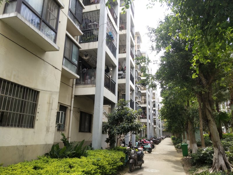 富宁新兴苑(南区)