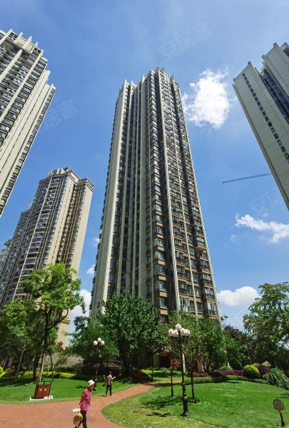 恒大中央公园(d区)