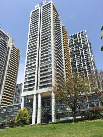 南滨路阳光100 一线江景房 正看两江交汇来福士广场大剧院