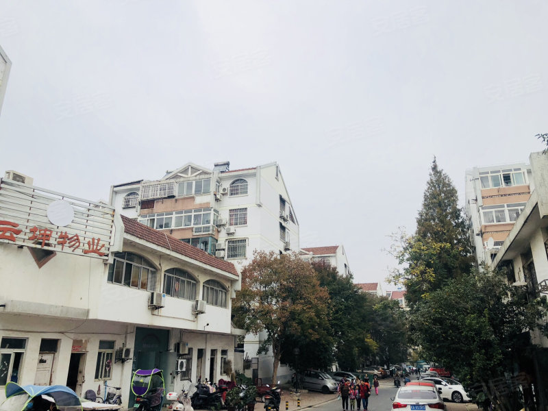安居苑东村,青阳南路金华商业街18号-合肥安居苑东村二手房,租房,房价