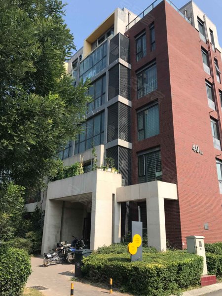 橄榄城柏林印象