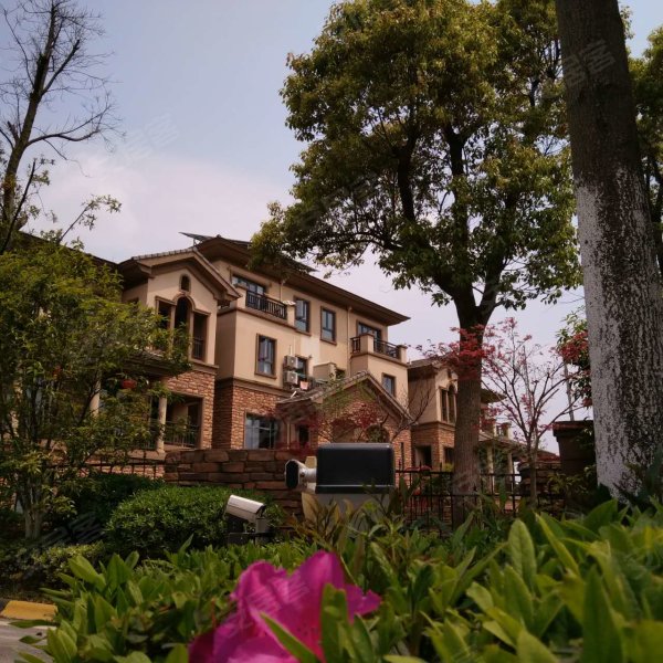 保利半山国际(别墅)