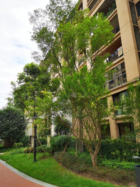 华美翡丽山(一期)