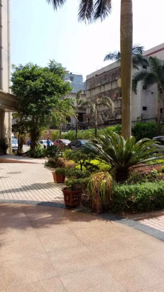 金海湾花园,情侣中路219号-珠海金海湾花园二手房,租房,房价-珠海安居