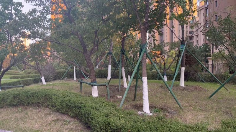 上虹新村七八九街坊 