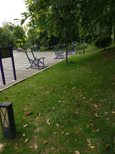 绿苑小区,旗山路252号-重庆绿苑小区二手房,租房,房价-重庆安居客