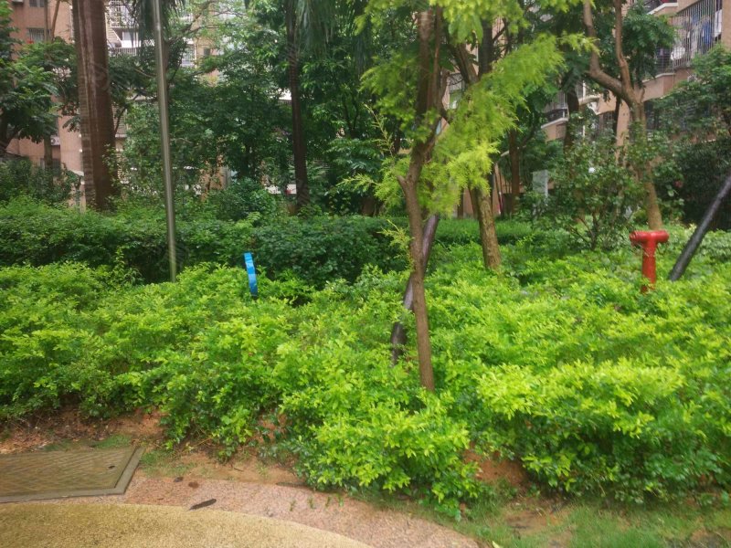 加州花园,兴隆东里1-28号-厦门加州花园二手房,租房,房价-厦门安居客