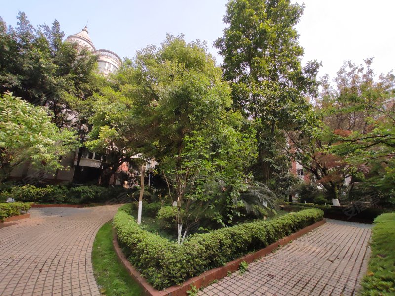 南方花园c4区,科园六路125号-重庆南方花园c4区二手房,租房,房价-重庆