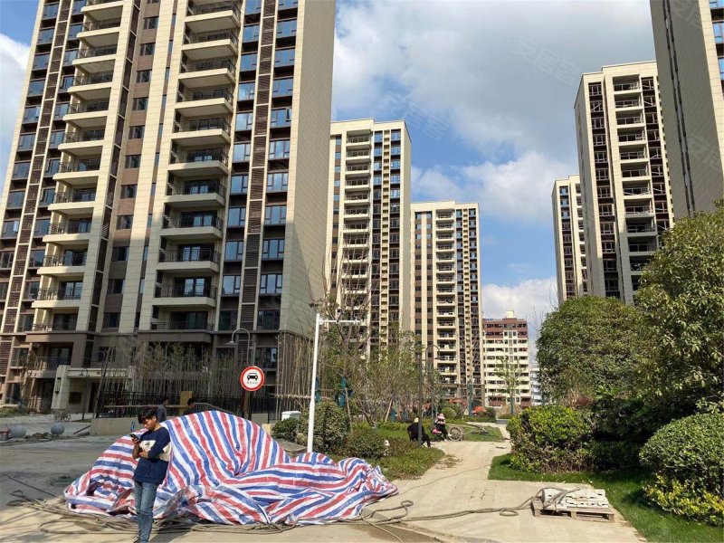 碧桂园星悦里,建新路,近仓南路-嘉兴碧桂园星悦里二手房,租房,房价