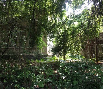 锦绣香江牡丹园