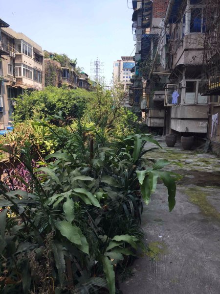 和平苑(武侯),一环路南三段19号-成都和平苑(武侯)二手房,租房,房价