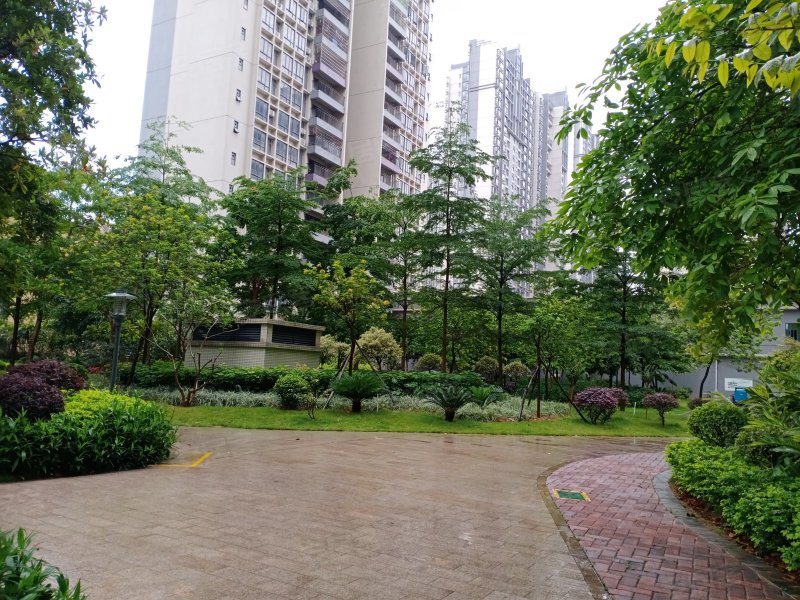 凤凰春天花园,清远大道-清远凤凰春天花园二手房,租房,房价-清远安居