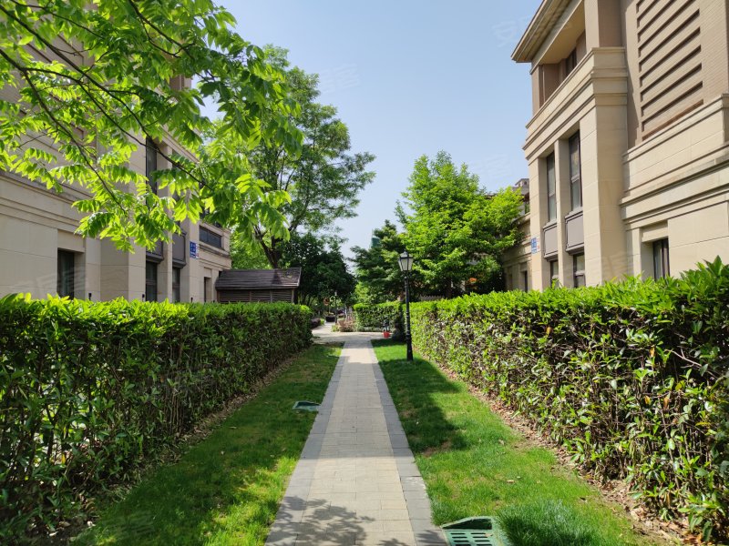 九龙仓玺园(别墅),南长街,近动力路-无锡九龙仓玺园(别墅)二手房,租房