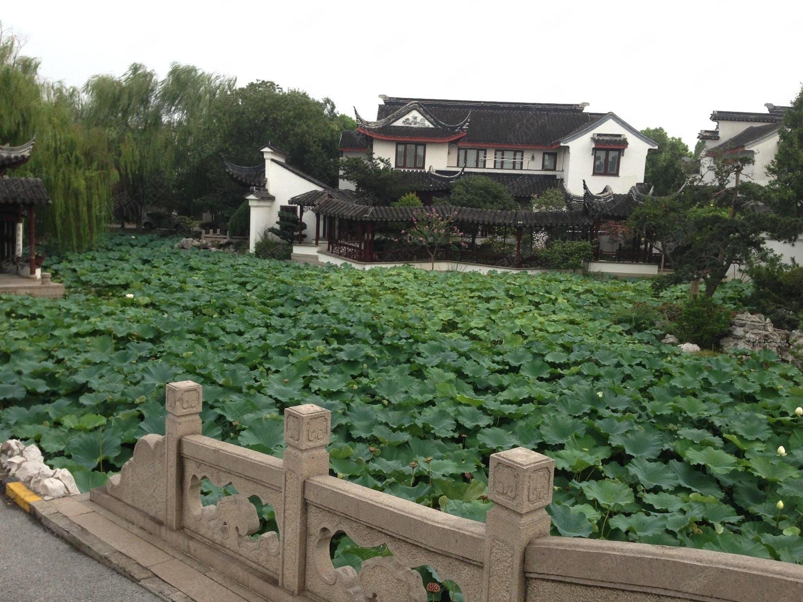 新出实拍好房新装修满五江枫园中式园林独栋带大院子