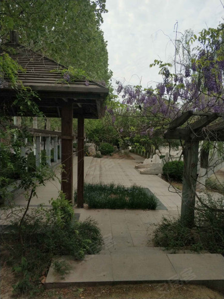 金鼎花园,人民西路26号-淄博金鼎花园二手房,租房,房价-淄博安居客