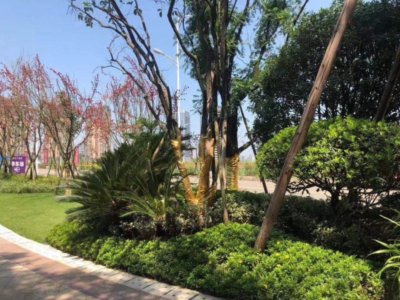 中南原山,江东中路七段-南充中南原山二手房,租房,房价-南充安居客