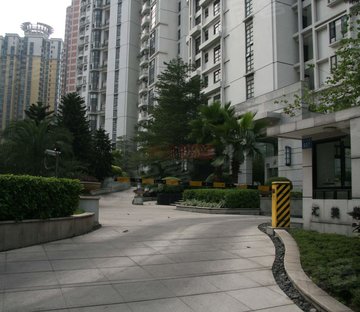 武林壹号