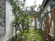 桃花坞小区图片