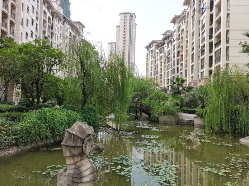 夷陵区正脉星湖湾