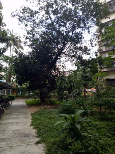 荔园水湾小区,太子路87号-深圳荔园水湾小区二手房,租房,房价-深圳