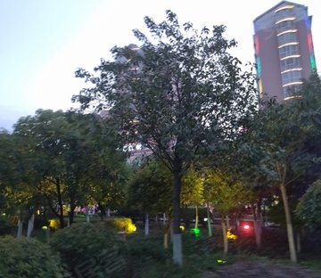 弘阳燕澜七缙(商住楼)