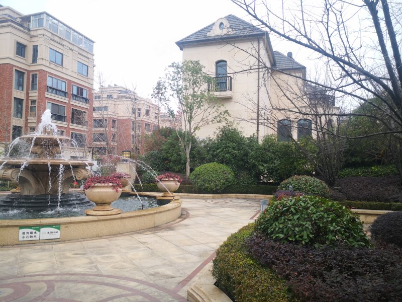 新湖景城郁金香郡