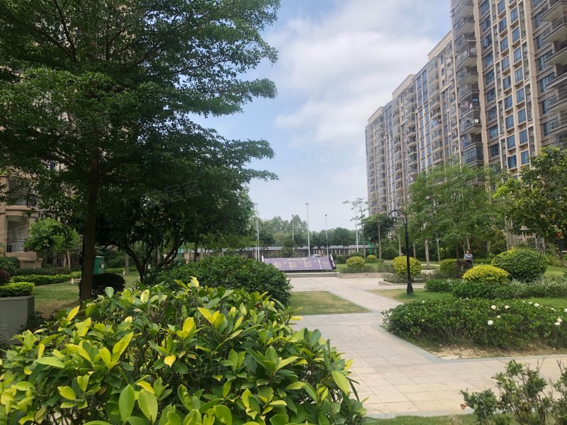 陆丰碧桂园,东海大道-汕尾陆丰碧桂园二手房,租房,房价-汕尾安居客