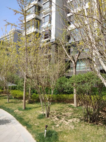 天成金色堤岸,南滨河东路,近金昌北路-兰州天成金色堤岸二手房,租房