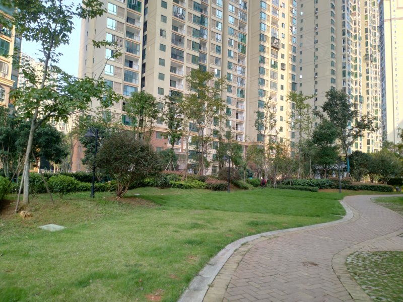 富基世纪公园香樟园,普瑞东路-长沙富基世纪公园香樟园二手房,租房