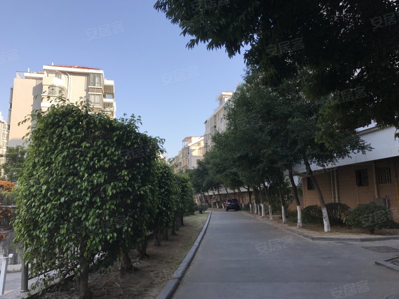 云景花园,洪文六里134-152号-厦门云景花园二手房,租房,房价-厦门安居