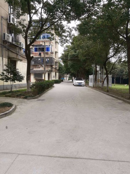 富巷新村南二小区,阳明西路-余姚富巷新村南二小区二手房,租房,房价