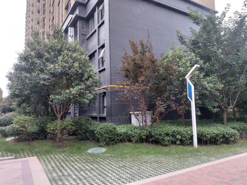 金泰丝路花城五期