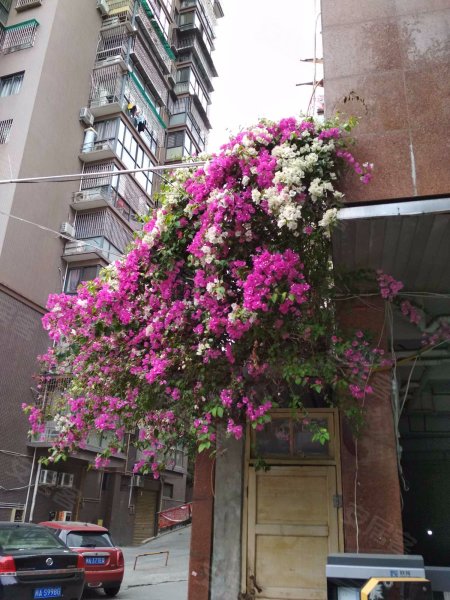 聚龙明珠,观井路139号-福州聚龙明珠二手房,租房,房价-福州安居客