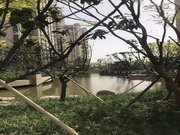 周良街小区图片