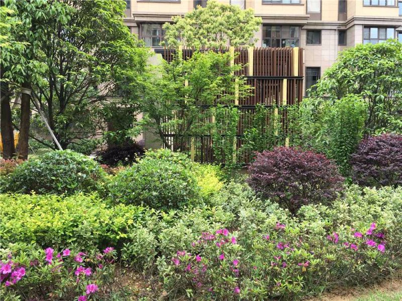 丹桂园,燕山路149号-南京丹桂园二手房,租房,房价-南京安居客