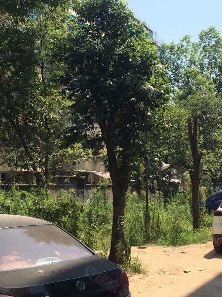 信华花园,八一南街431号-金华信华花园二手房,租房,房价-金华安居客