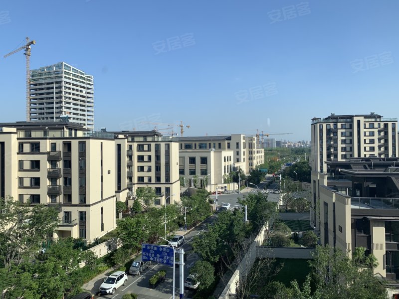 铂悦庐州府麓园