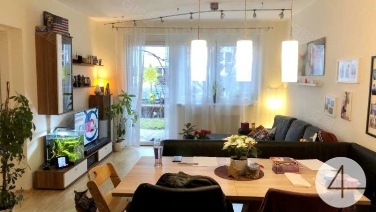 奥地利约¥191万AustriaSchalchhamApartment出售二手房公寓图片
