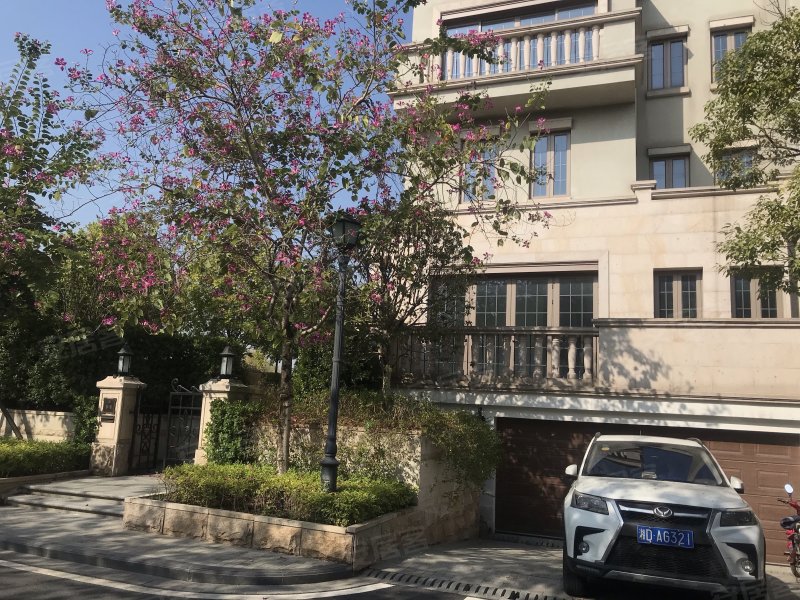 南天名苑(别墅)