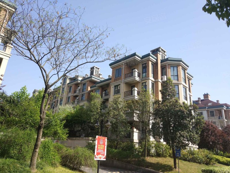 绿城桂花园,黄山路629号-合肥绿城桂花园二手房,租房,房价-合肥安居客