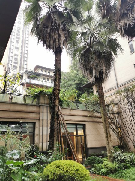 华宇城m8组团,鸣金街-重庆华宇城m8组团二手房,租房,房价-重庆安居客