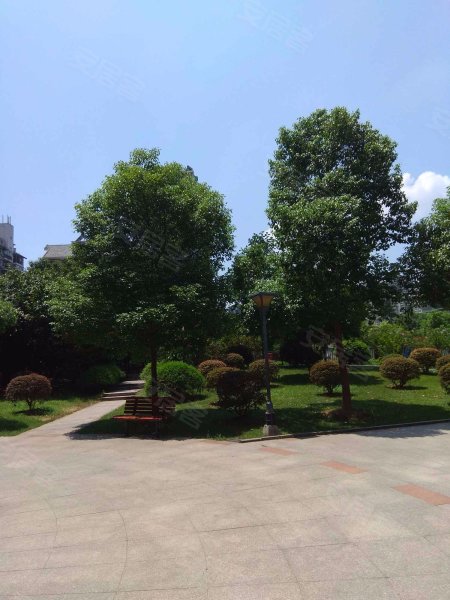 大城小院,友谊大道678-21号-武汉大城小院二手房,租房,房价-武汉安居